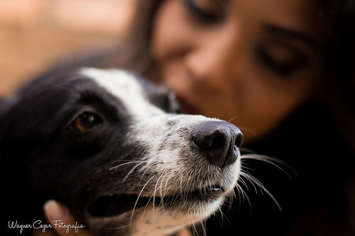 Hond met zijn 'ouder'