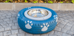 Hoe een doe-het-zelf drinkbak maken voor je hond