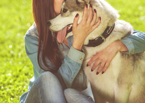 Een hond knuffelen