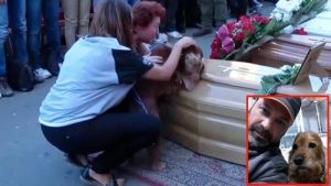 Hond weigert de kist van zijn baasje te verlaten