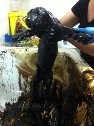 Een onder teer bedolven pup