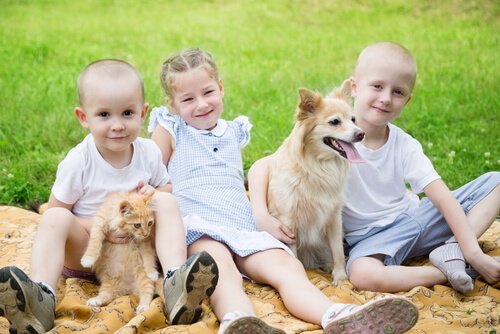 Kinderen Met Hond En Kat