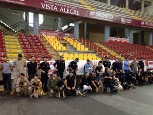 Een oude politiehond adopteren: waarom is dat belangrijk?