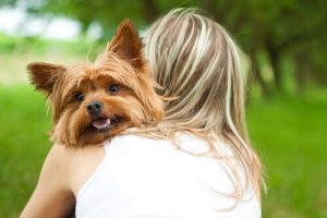 Hoe weet je of je hond echt van je houdt?