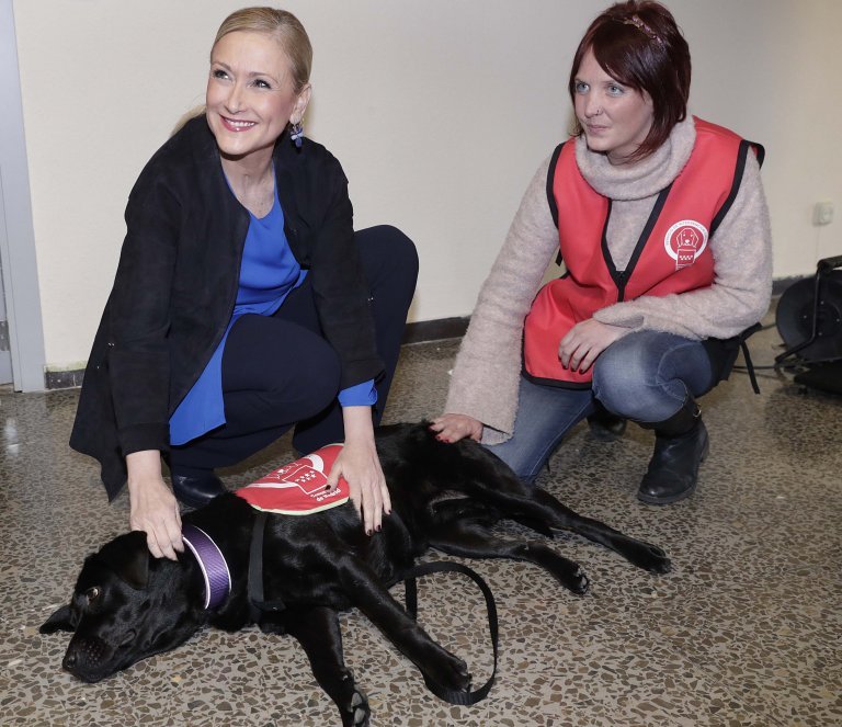 Doctoren voeren dna-test uit