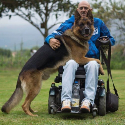 Lobo's onvoorwaardelijke liefde