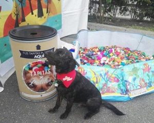 Recyclen om dieren te helpen