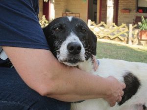 Samen met jou naar het einde van de wereld