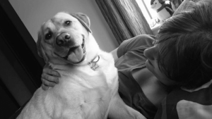 4 bijzondere verhalen over dappere honden