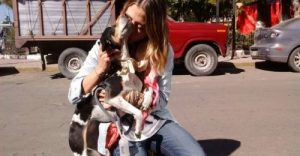 Luchtvaartmaatschappij geeft 10 tickets voor verloren hond