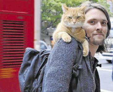 Zwerfkat genaamd Bob zittend op James Bowen's schouder.