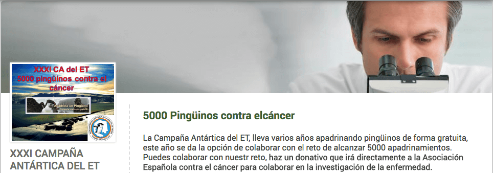 5.000 pinguïns adopteren om kanker te bestrijden