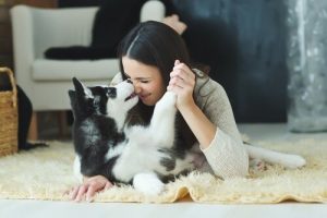 Honden begrijpen menselijke emoties