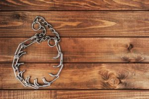 Alles dat je moet weten over illegale halsbanden