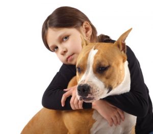 Wat je moet weten over het opvoeden van een pitbull