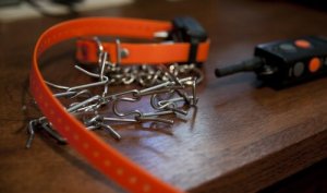 Corrigerende halsbanden zijn gevaarlijk voor honden