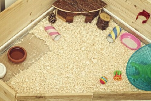 Het hok van je cavia verbeteren