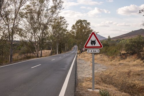 Verkeersbord dat waarschuwt voor lynxen
