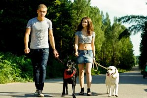 Je hond uitlaten: tips voor succesvolle wandelingen