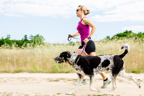Op het strand lopen met je hond