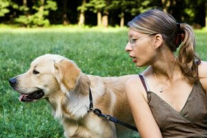 Je hond besteedt geen aandacht aan je? Volg deze tips op!