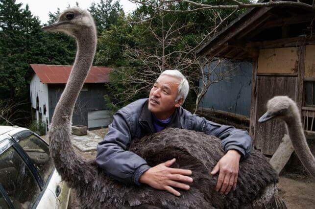 Naoto aait een struisvogel