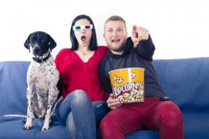 Films om samen met je hond te kijken