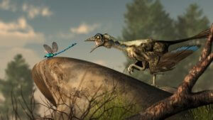 Wat weten we over de oorsprong van vogels?