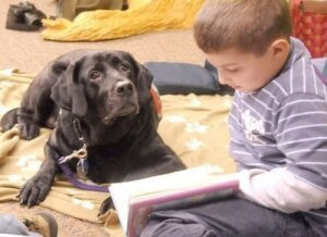 Hoe honden kinderen helpen leren