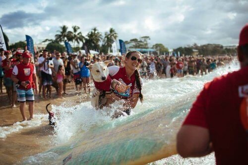 Vrouw en hond aan het surfen