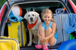 De hond mag mee op vakantie