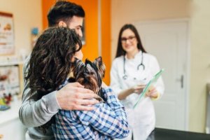Voorzorgsmaatregelen om met je hond naar de dierenarts te gaan