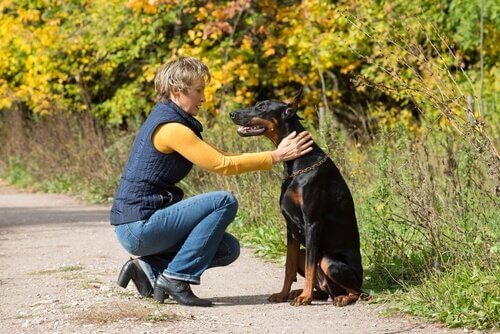 Vrouw met een doberman in het park