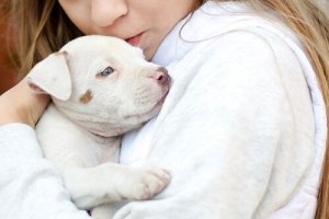 Wie is Temple Grandin en wat heeft ze betekent voor dieren?