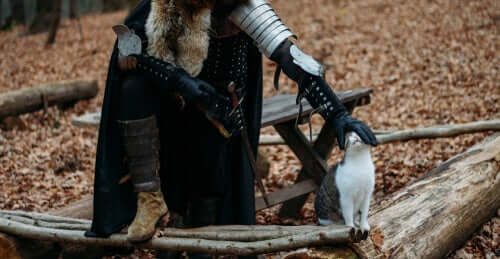 De huiskat in de middeleeuwen