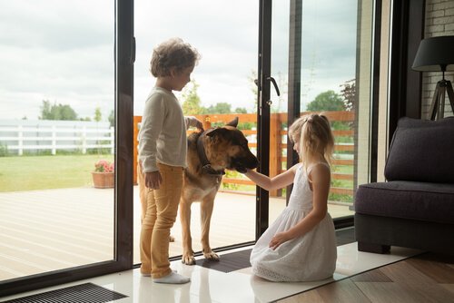 Twee kinderen aaien een hond