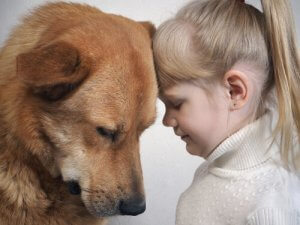 Begrijpen honden menselijke gezichtsuitdrukkingen?