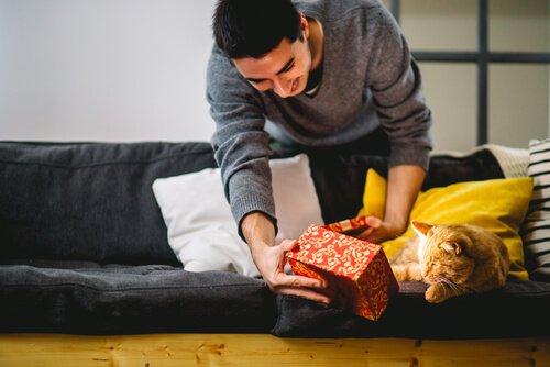 Geef je kat een beloning