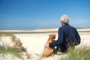 Gezondheidsproblemen bij oudere honden