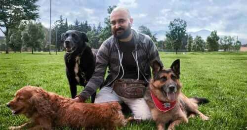 Het is mogelijk om een agressieve hond te heropvoeden