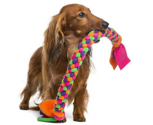 Een tekkel met speelgoed