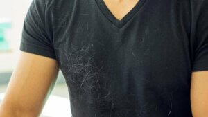 Hoe kom je van hondenhaar af in huis?