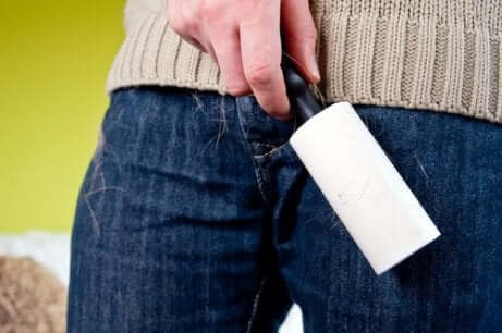 Een spijkerbroek met hondenharen erop