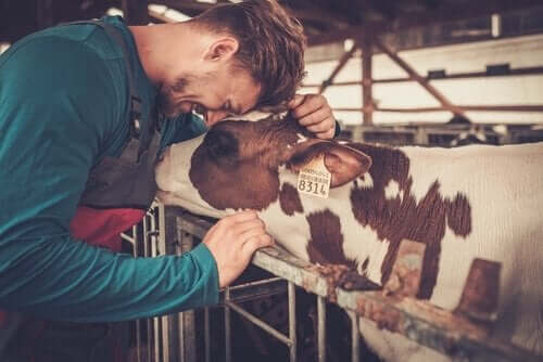 Farmaceutische producten voor landbouwbedrijven