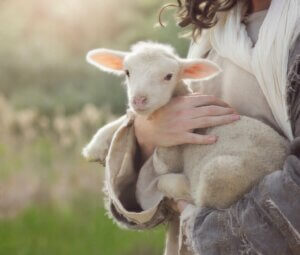 Diarree bij pasgeborenen van kleine herkauwers