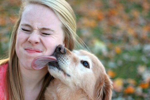 Hoe begroeten honden mensen en andere honden?