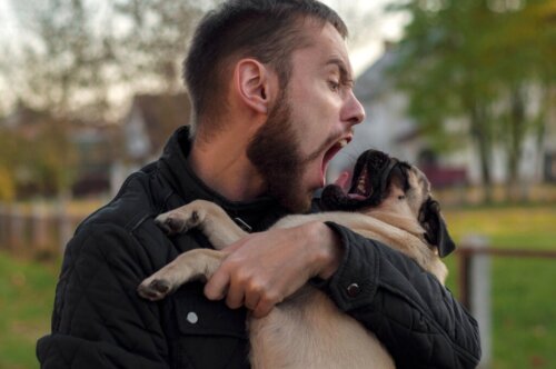 5 dingen die je beter niet met je hond kunt doen
