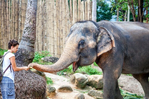 Leer meer over deze 5 reservaten voor dieren