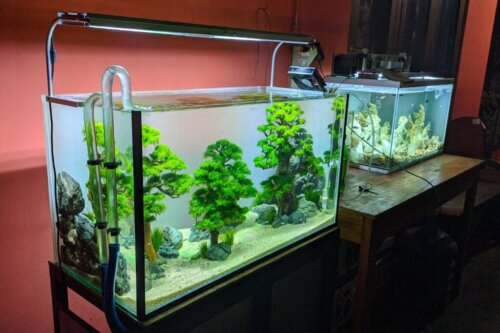 Mijn aquarium lekt: wat is de oorzaak?