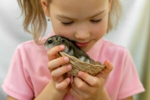Hoe je kunt zien of je hamster gelukkig is